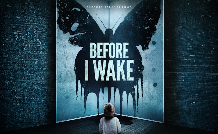 Before I Wake