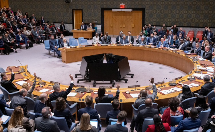 UAE Regrets UNSC Failure to Adopt Strait of Hormuz Resolution