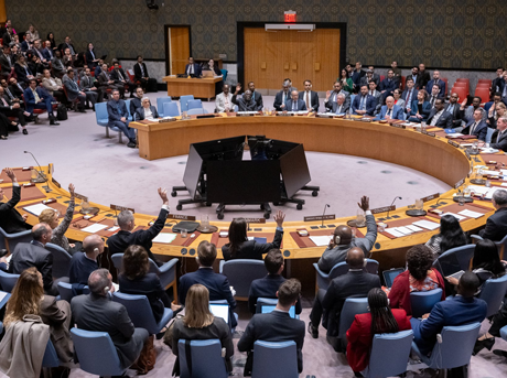 UAE Regrets UNSC Failure to Adopt Strait of Hormuz Resolution