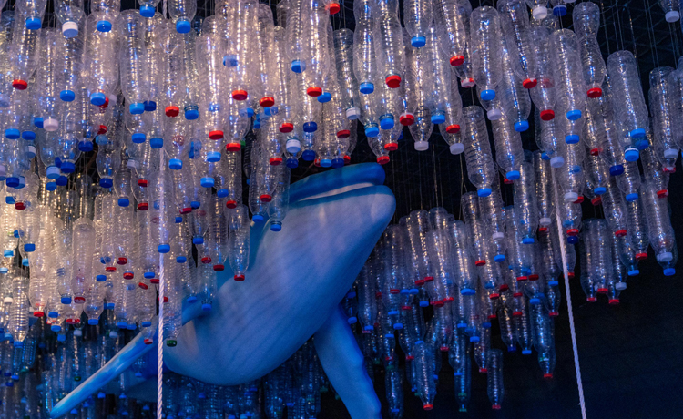 Water Week at Expo 2020 Dubai