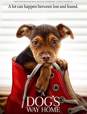 /content/dubaione/en-ae/programs/182/45133.html