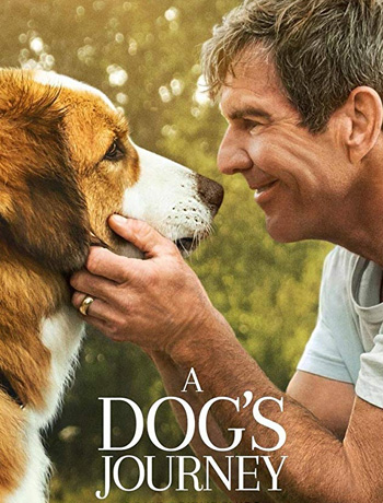 /content/dubaione/en-ae/programs/182/46079.html