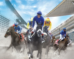 /content/dubaione/en-ae/programs/36/20019.html