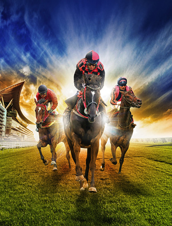 /content/dubaione/en-ae/programs/36/41040.html