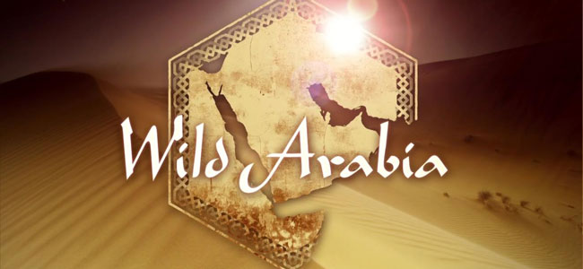 Wild Arabia