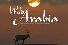 /content/dubaione/en-ae/programs/97/23131.html